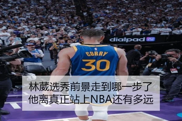林葳选秀前景走到哪一步了 他离真正站上NBA还有多远 - kaiyun