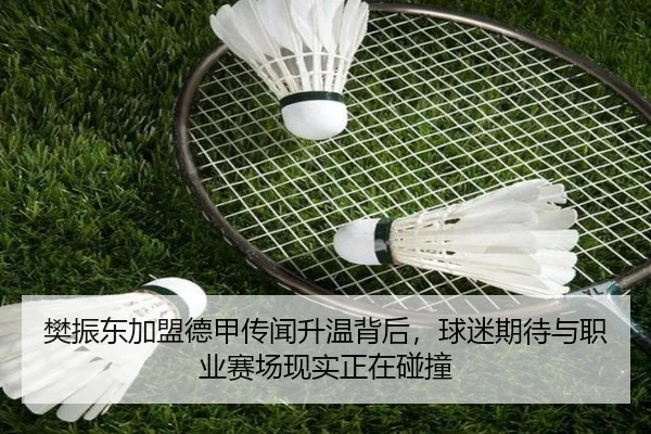 樊振东加盟德甲传闻升温背后，球迷期待与职业赛场现实正在碰撞（kaiyun）